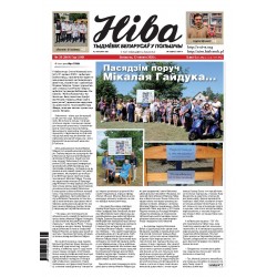 Niva 28/2026 (3661)